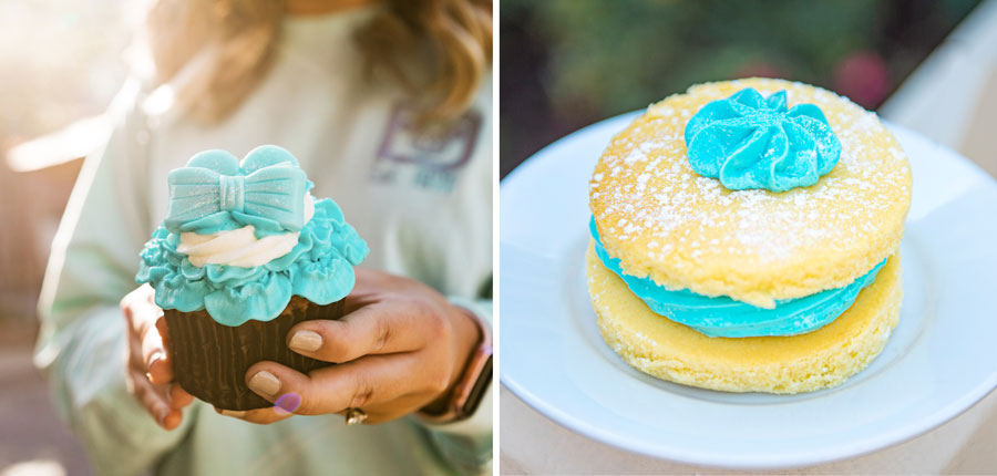 Arendelle Aqua Cupcake and Victoria Sponge Cake at Epcot