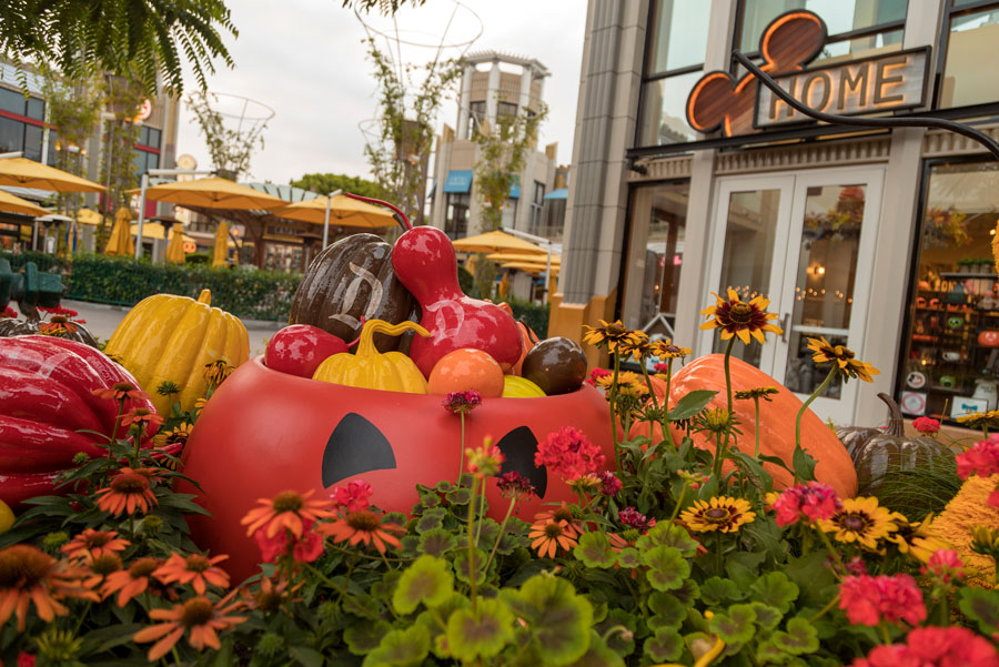 Halloween planters at the Downtown Disney District at Disneyland Resort