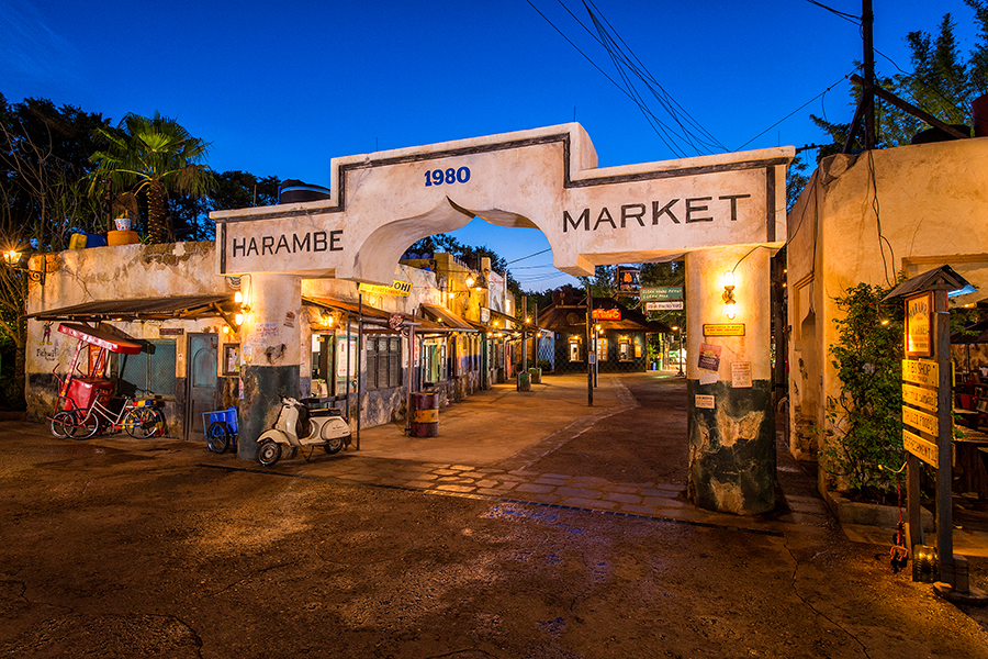 Circle of Flavors: Harambe at Night at Disney’s Animal Kingdom Theme Park