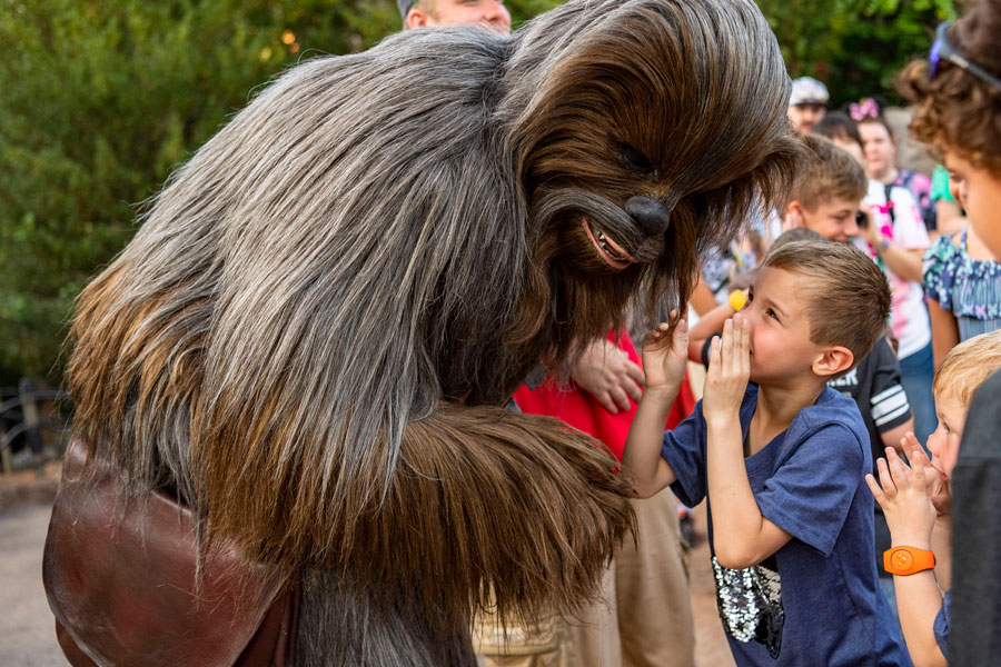 Young boy whispers to Chewbacca in Star Wars: Galaxy's Edge