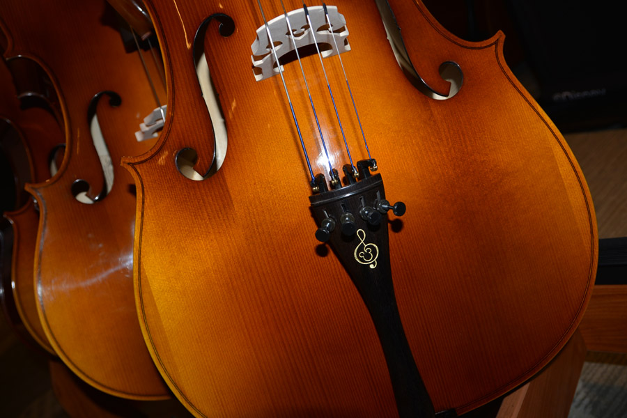 Violin with Festival Disney logo