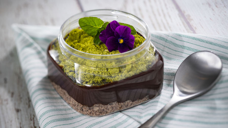 Chocolate Pudding Terrarium from Trowel & Trellis Outdoor Kitchen for the 2020 Epcot International Flower & Garden Festival