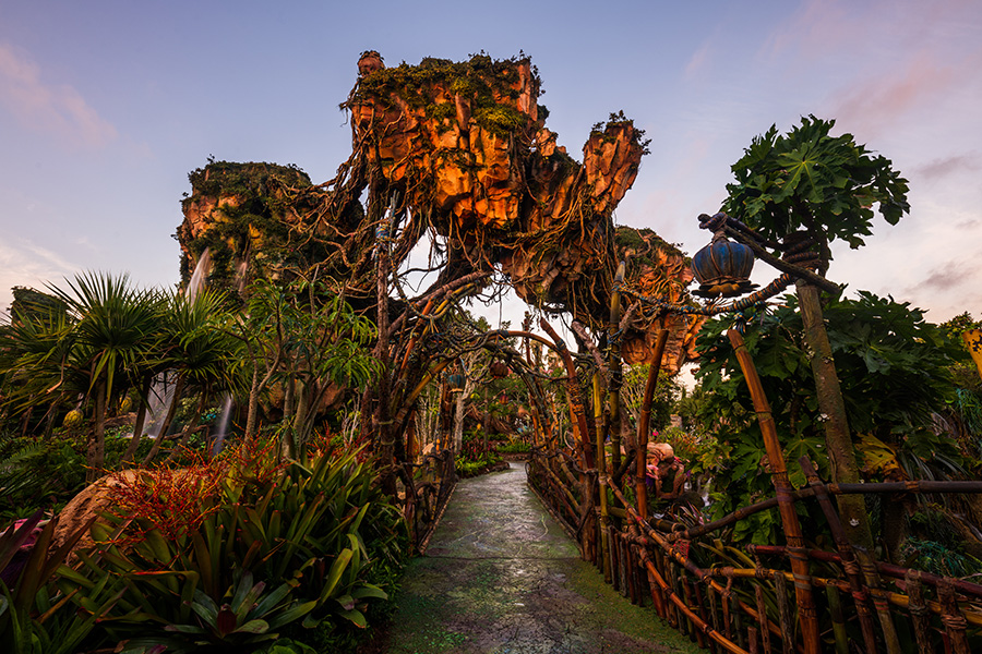 A bridge in Pandora - The World of Avatar at Disney’s Animal Kingdom.