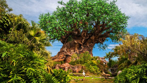 Tree of Life at Disney's Animal Kingdom