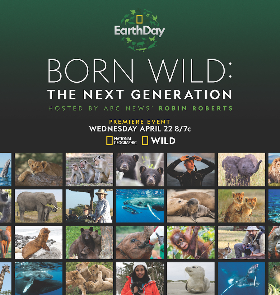 Born Wild: The Next Generation