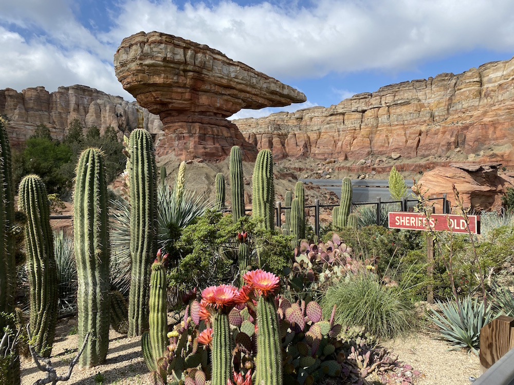 Cars Land at Disneyland Resort