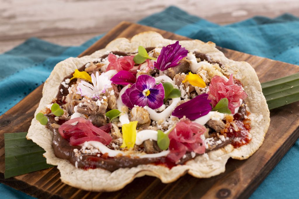 Pork Tostada: Fried Corn Tortilla topped with Chipotle Black Beans, Roasted Pork, Fresh Salsa Verde, Onions, and Cilantro