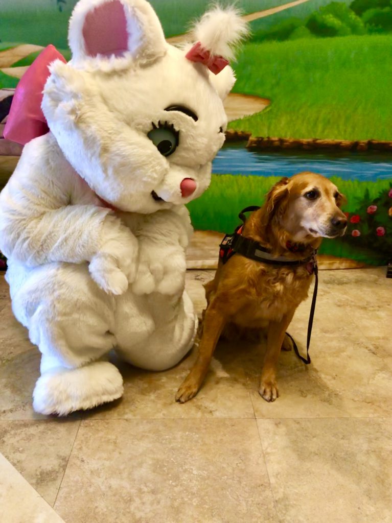 Marie and David Romero, Software Developer, dog Jasmine