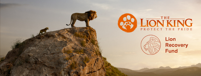 The Lion King Protect The Pride Lion Recovery Fund