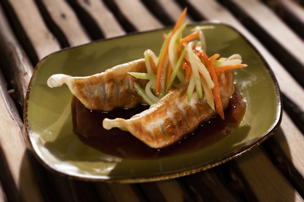 Dumplings from the Taste of EPCOT International Food & Wine Festival