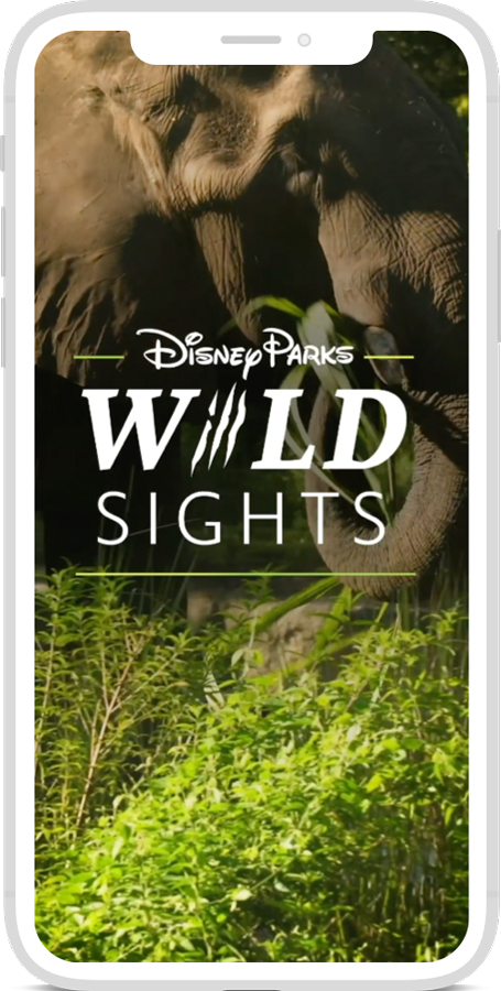 Disney Parks Wild Sights” Video Series   