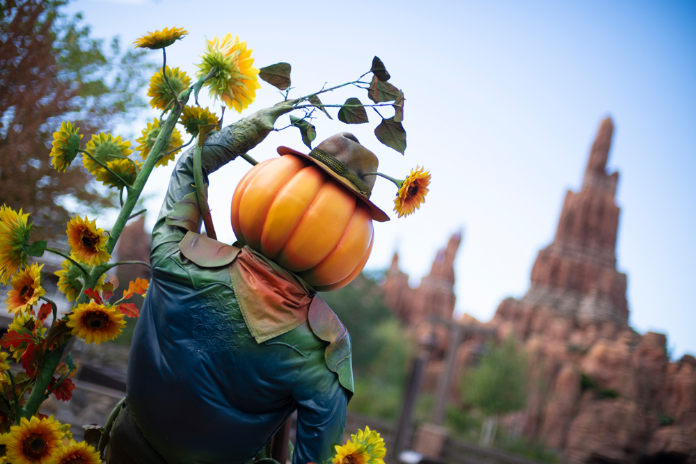 Pumpkins at Frontierland in Disneyland Paris