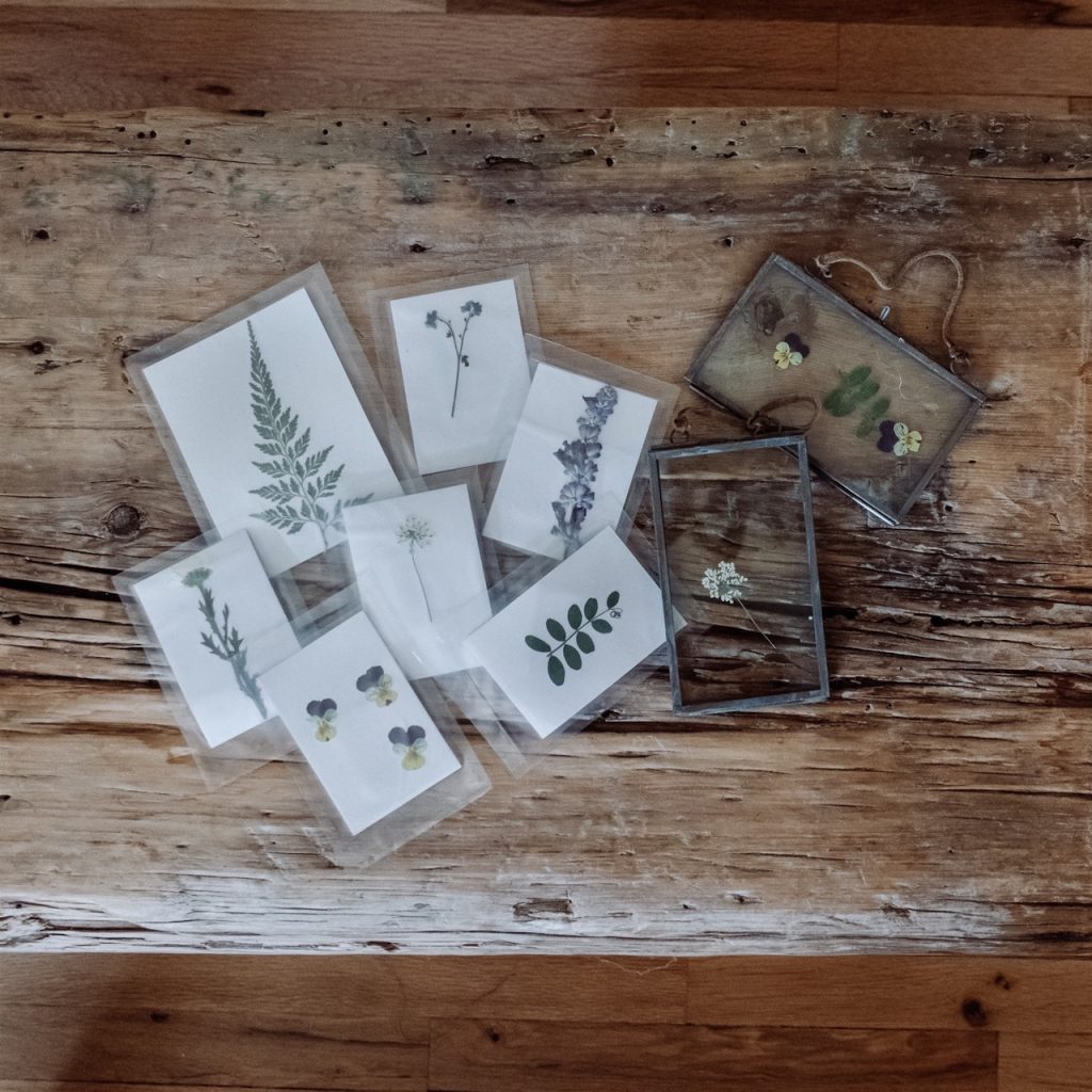Merchandise from Sugarboo & Co.﻿
