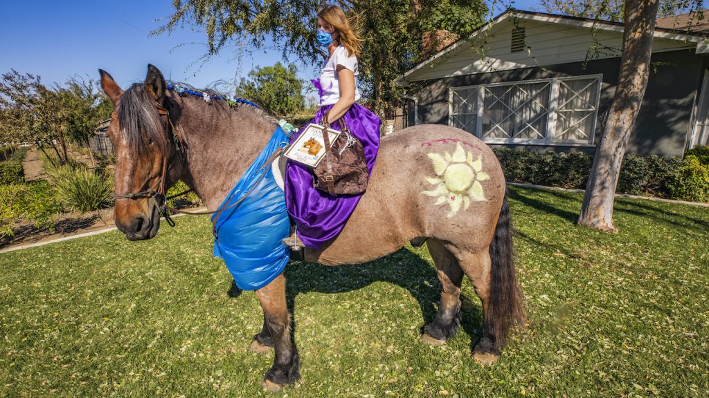 Finn, a Brabant Draft Horse, and cast member Tara Parker