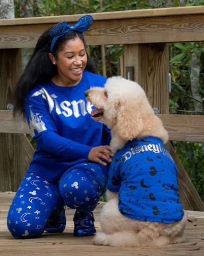 Wishes Come True Blue Minnie Mouse Ear headband, spirit jersey and dog outfit