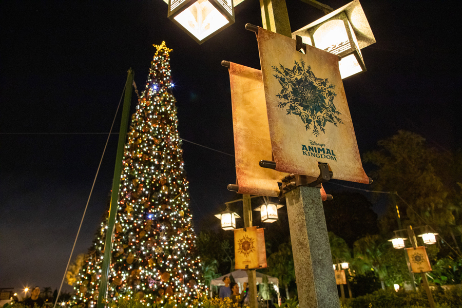 Holiday decor at Disney's Animal Kingdom